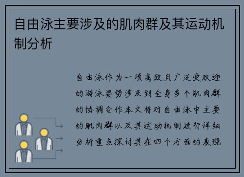 自由泳主要涉及的肌肉群及其运动机制分析